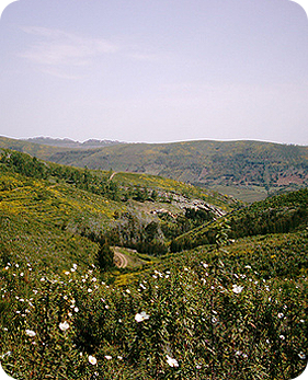 take a deep breath, 
you are in one of the 
purest regions in Europe!